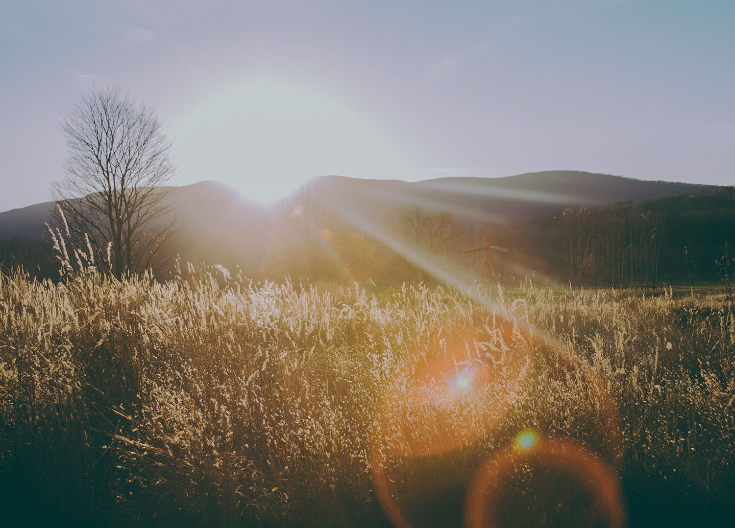 Find Clarity in Your Life. LEARN MORE ABOUT WHAT WE DO AT THE CLARITY GROUP. Our Services