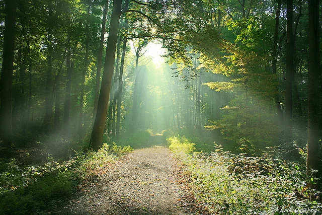 freshair1.jpg