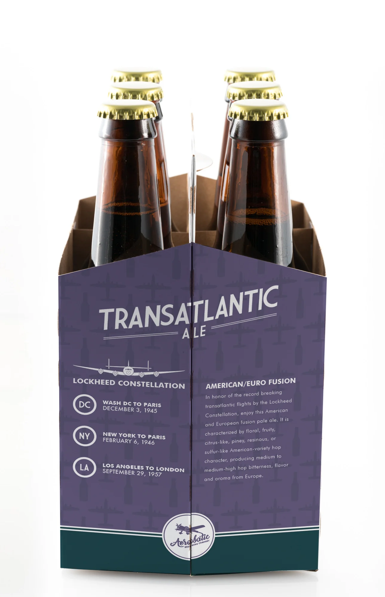 transatlantic-ale-aerobatic-brewery-kyle-dolan-design-illustration-6-pack-002.jpg