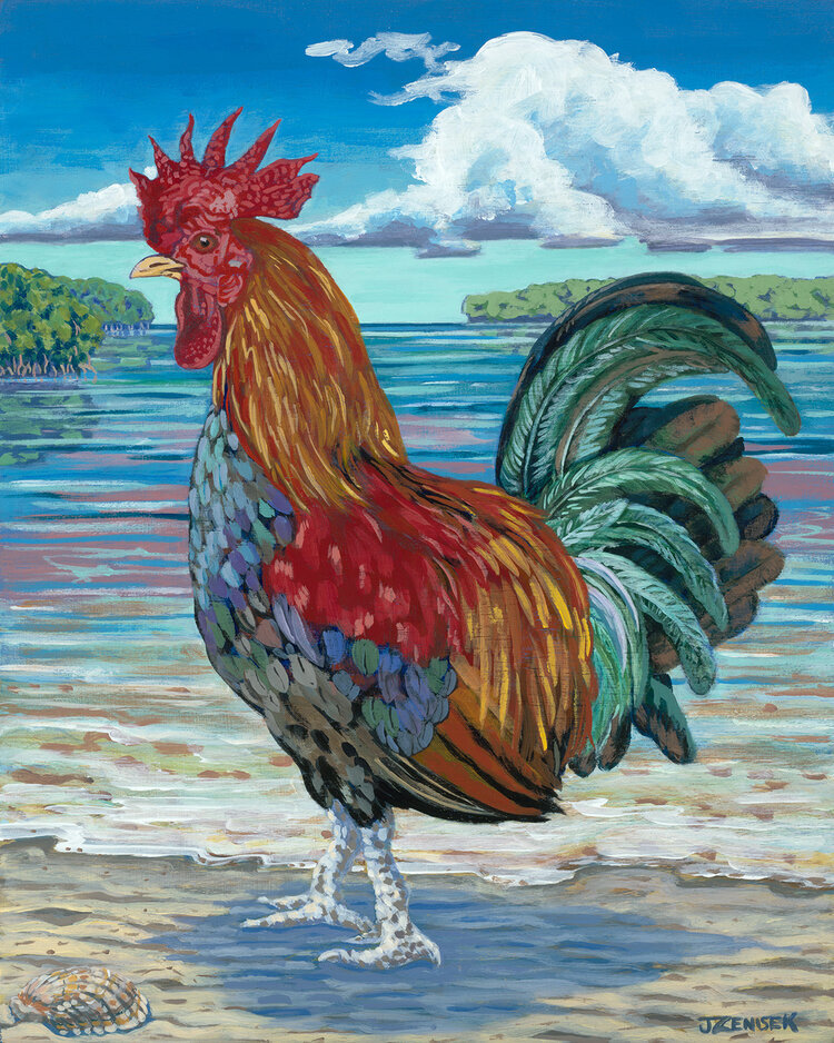 Rooster in Paradise