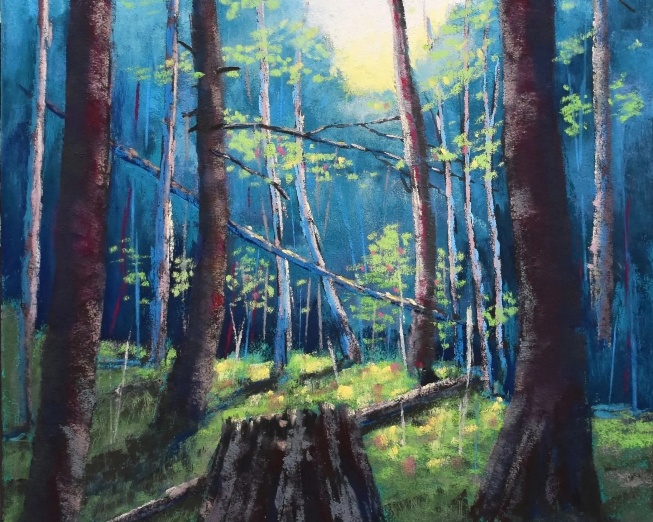Ann Arbor Summer Art Fair