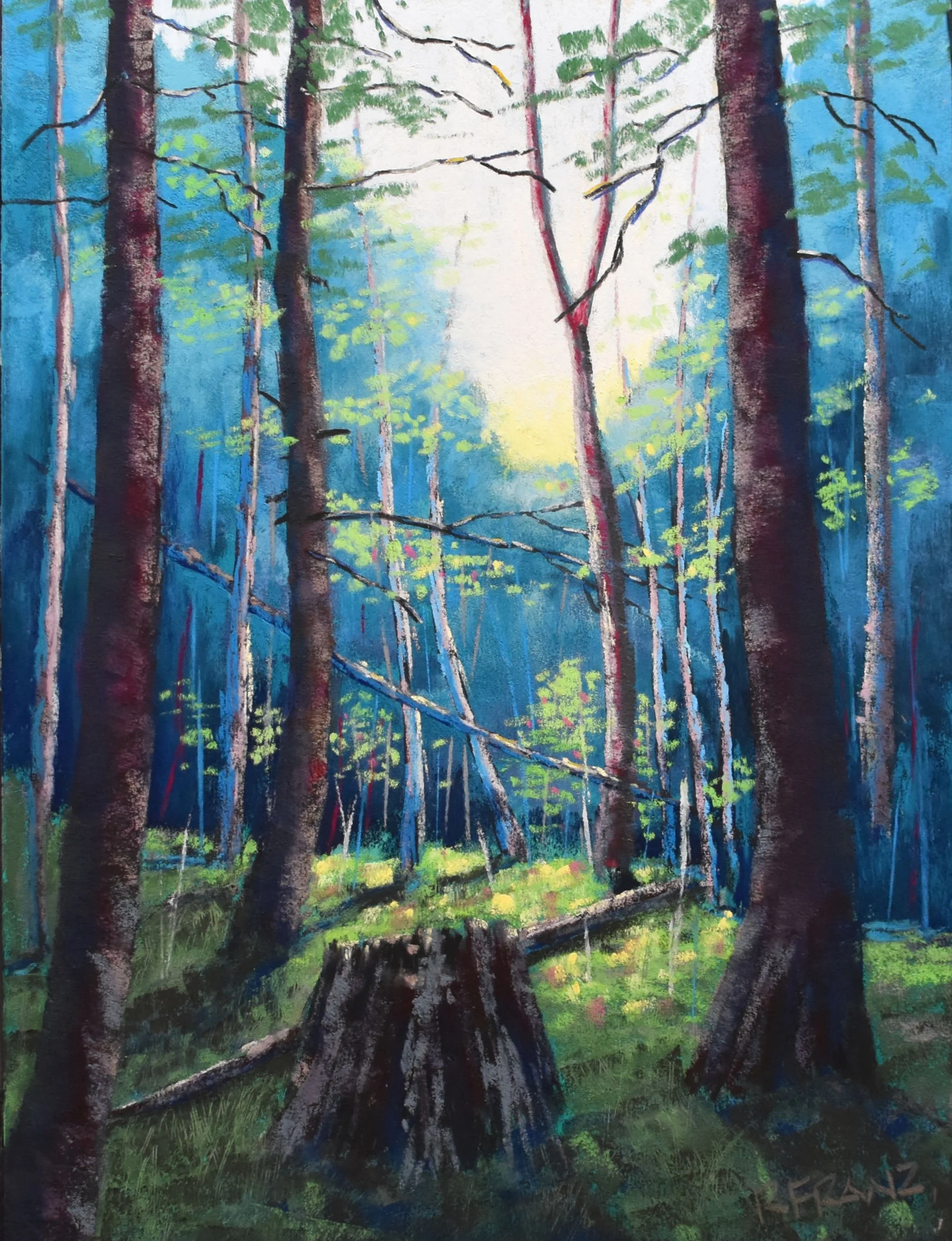 Artist #279_Deep in the Woods 10.jpg