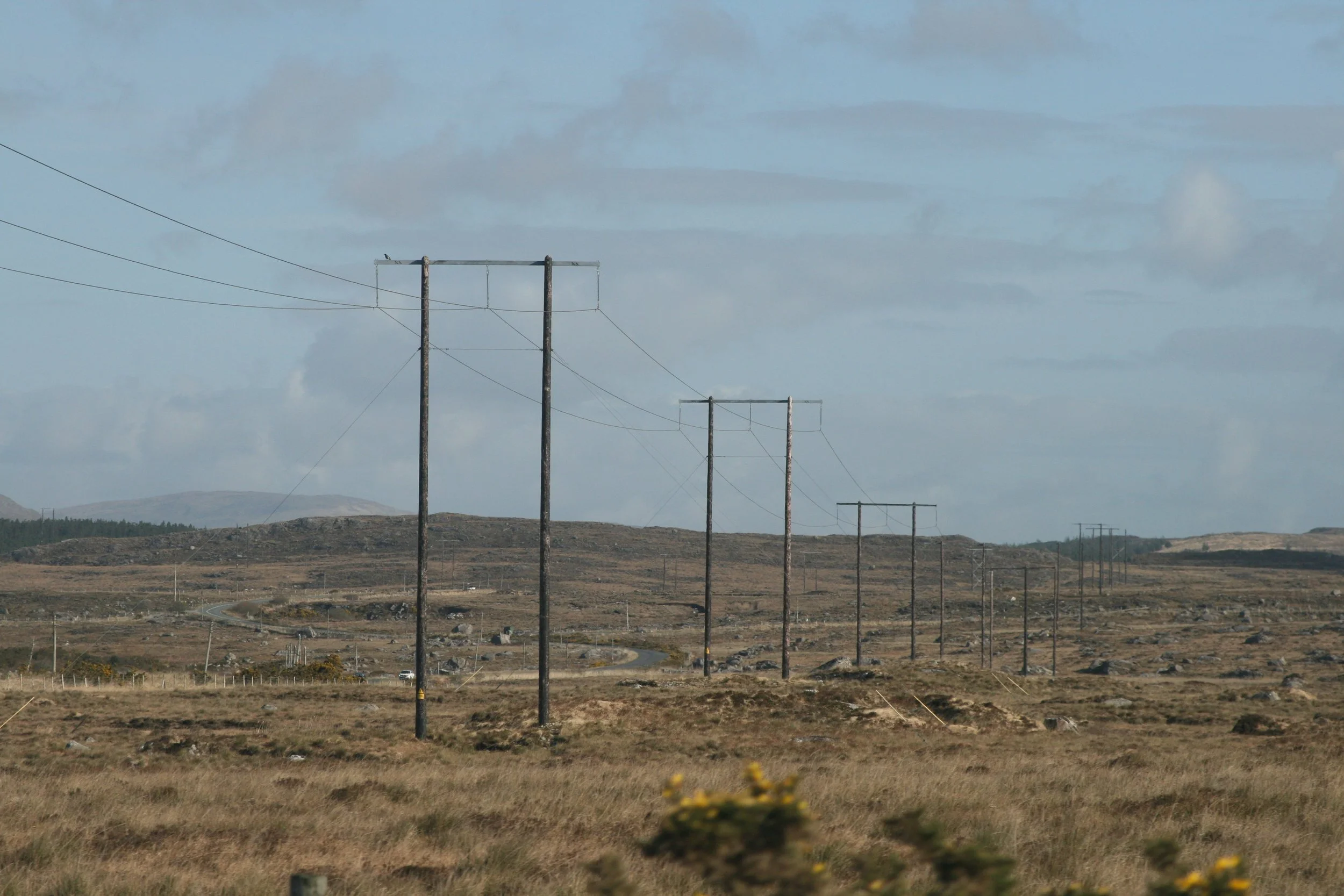 2019 un année cinéma