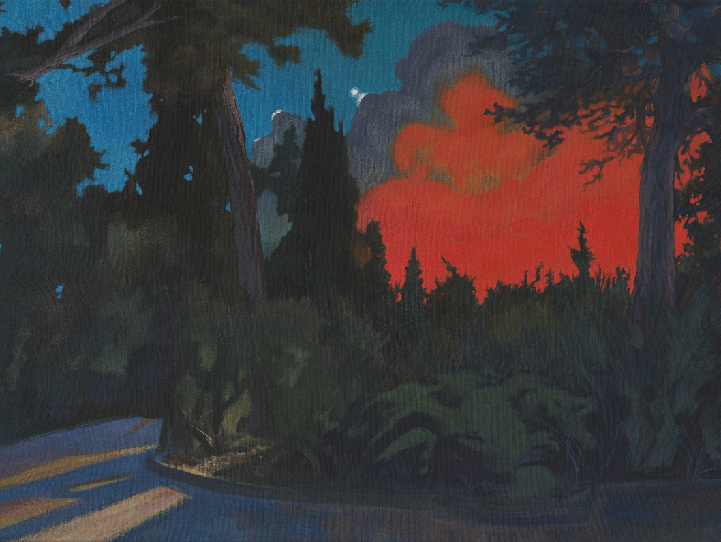 I Giardini dell'Arsenale (Venezia), 2023