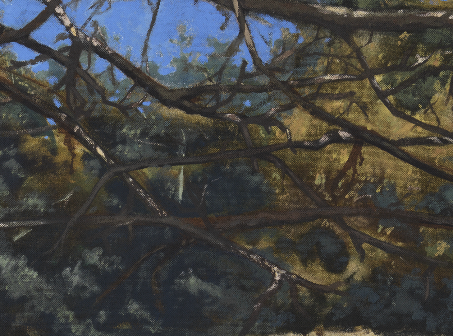 2020_la foresta pensa_200x135_det02.png