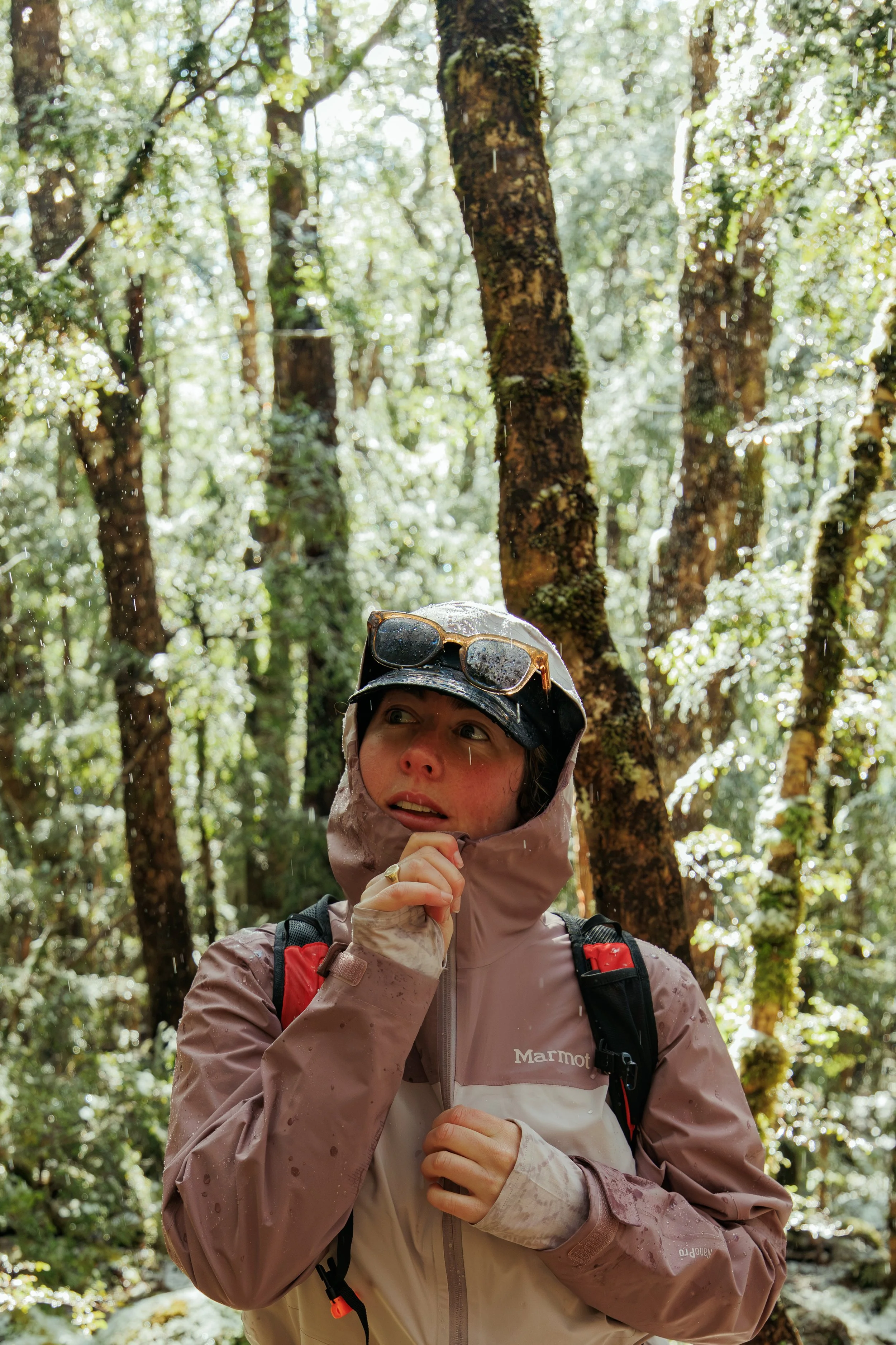 Marmot NZ