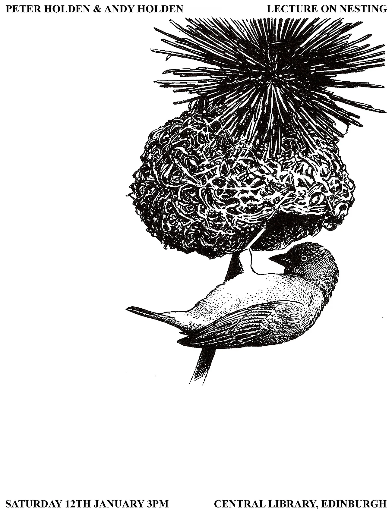 LECTURE ON NESTING_COLLECTIVE GALLERY_HOLDEN_for printing.jpg
