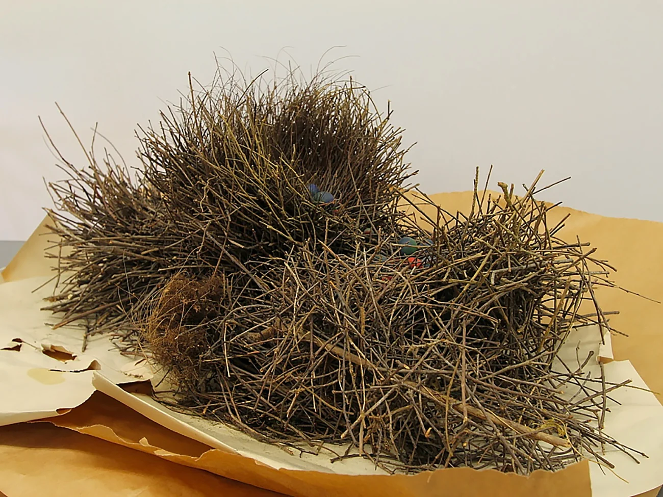 Lecture on Nesting (performa 13) images.155.jpg