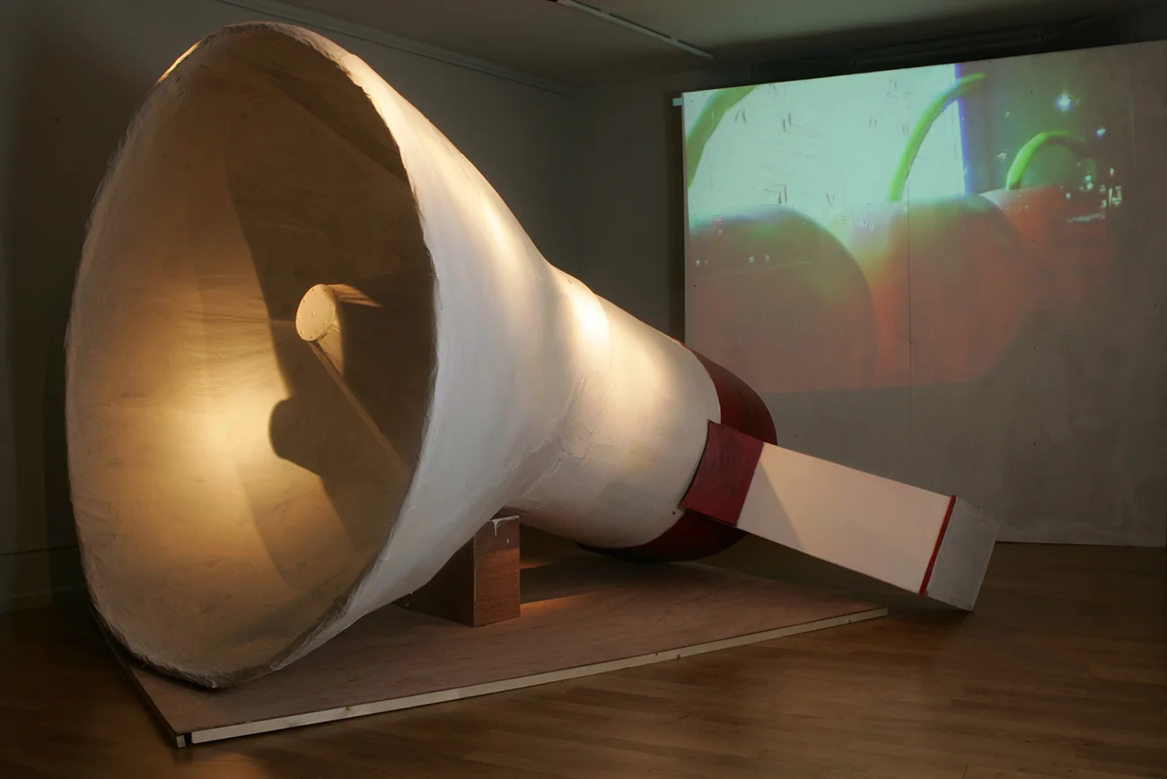 megaphone + projection best .jpg