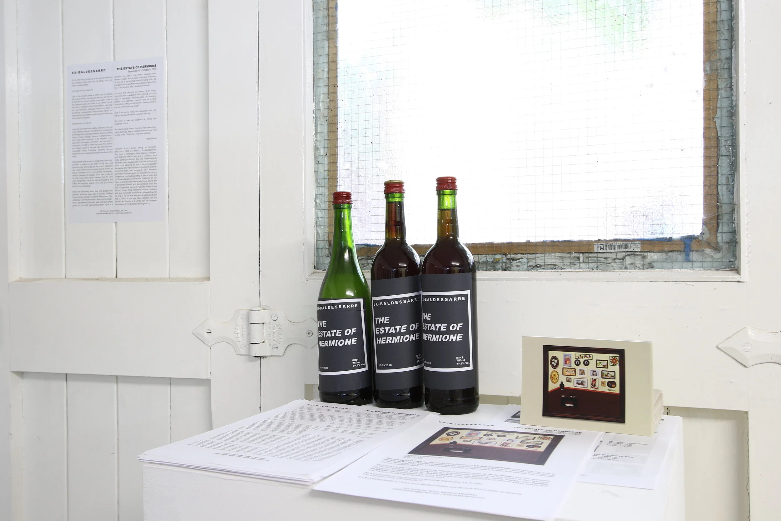 Estate of Hermione_Andy Holden_ex-baldessarre_documentation13.JPG
