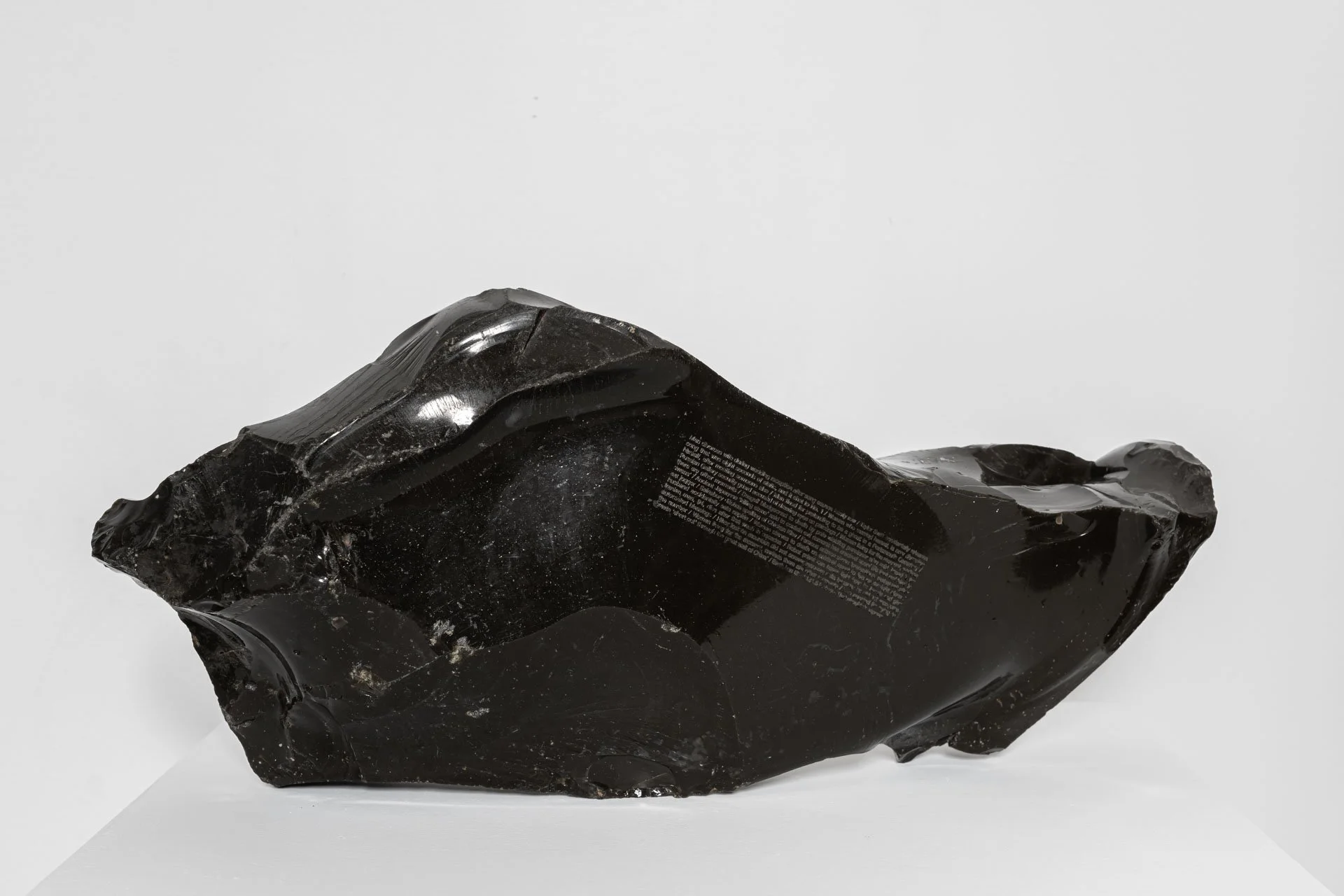 PALMER005_1.jpg