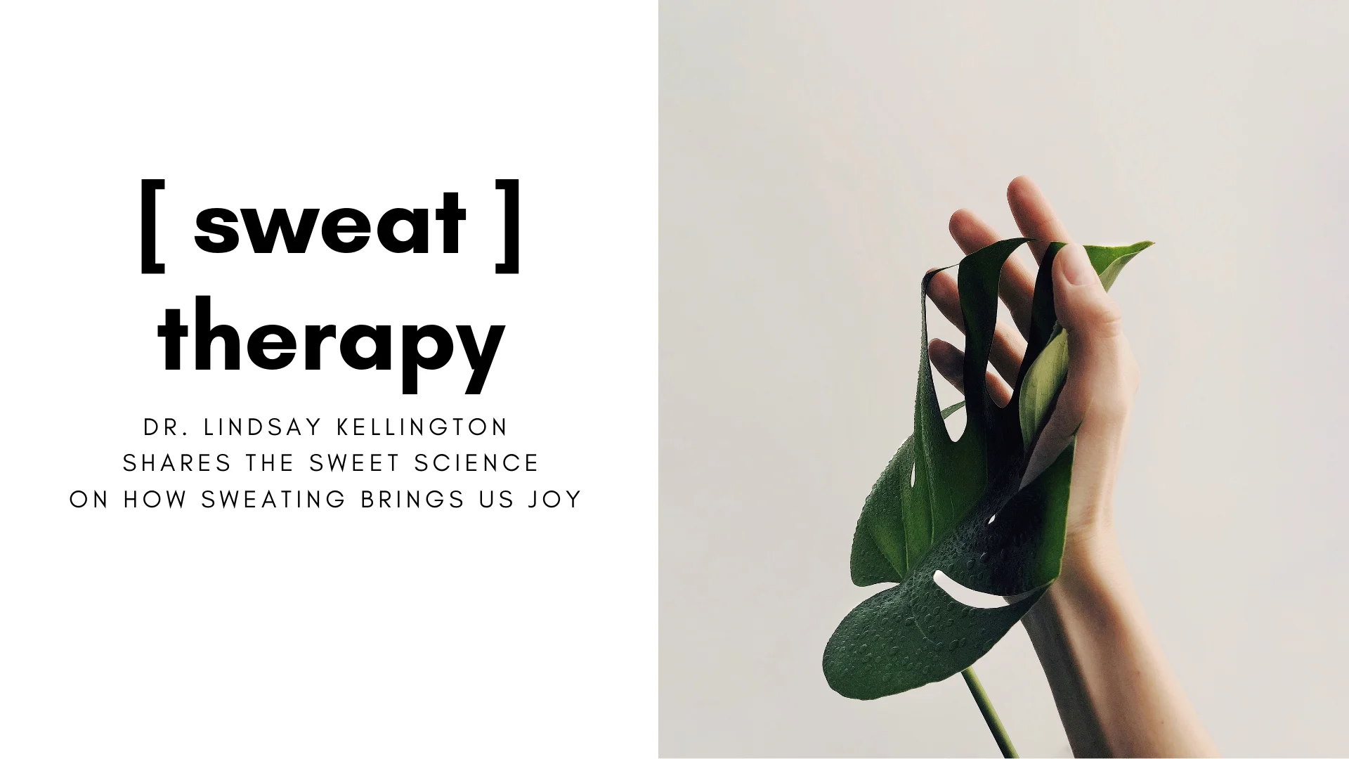 [ SWEAT ] therapy