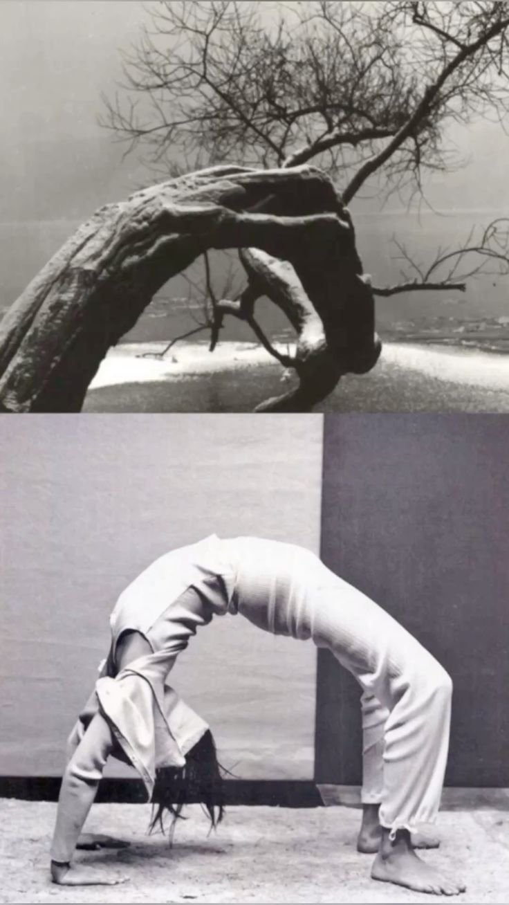 [ IMMERSION ] Philosophy Inspired Practice