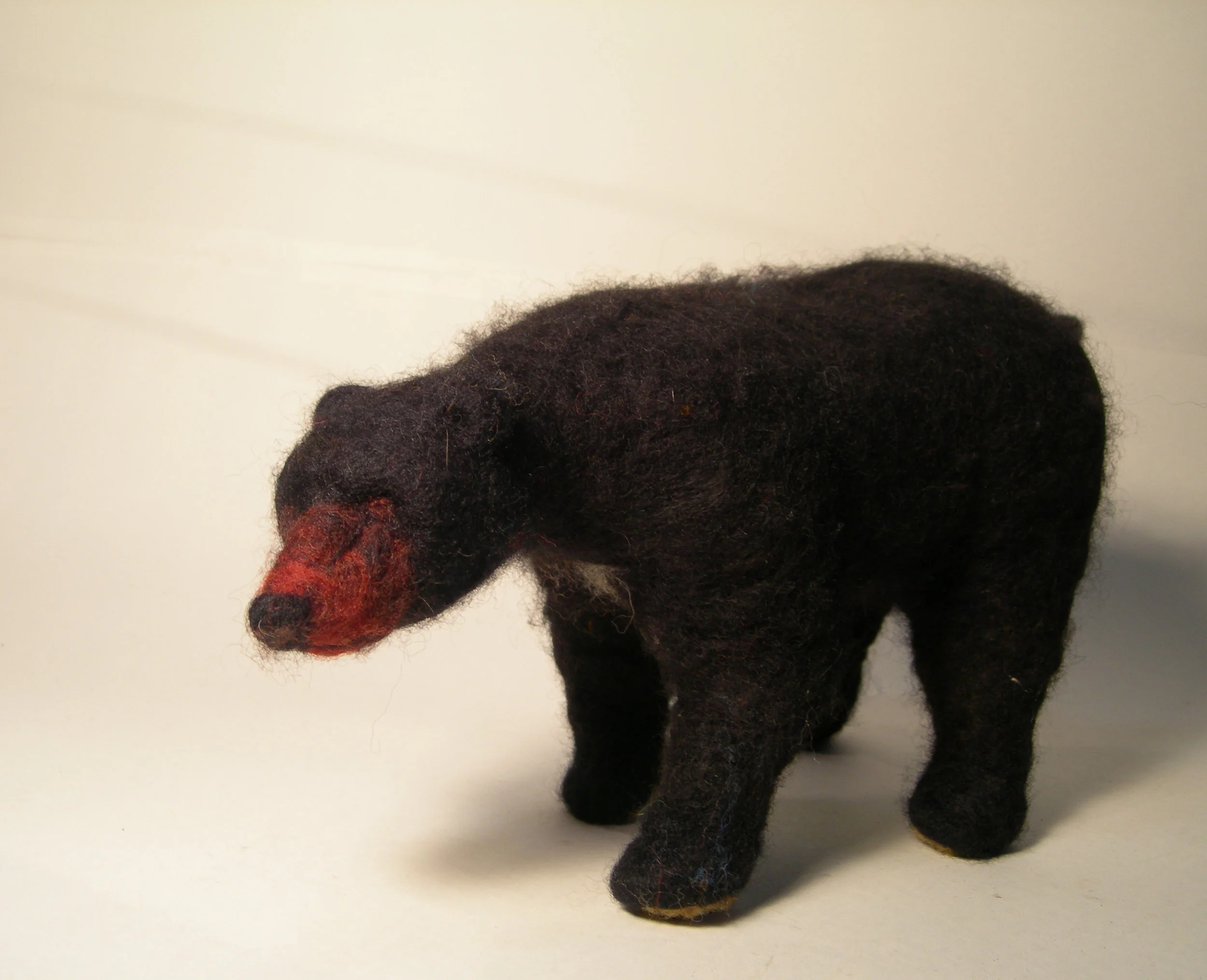 BLACK BEAR