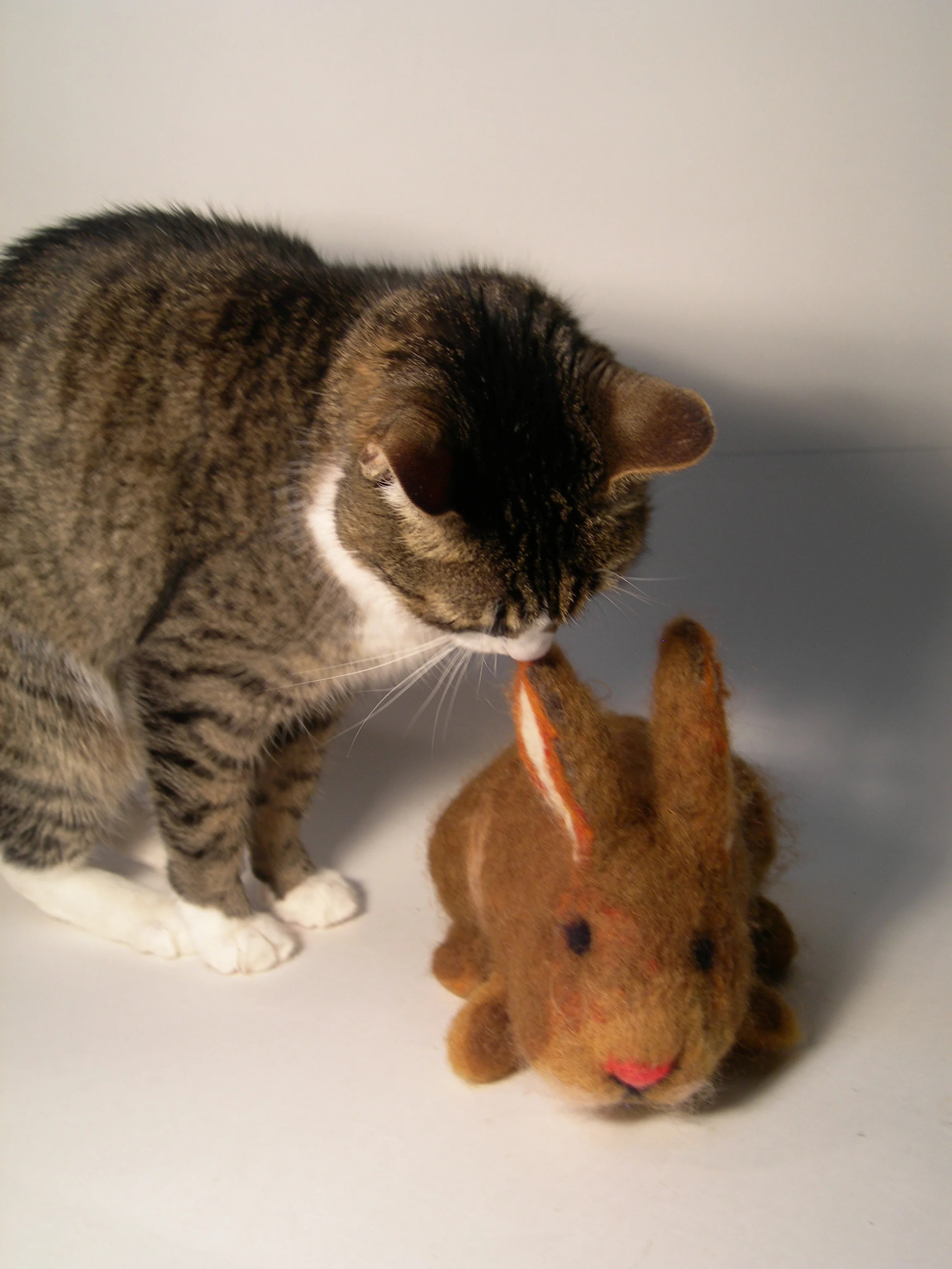  BUNNIE WITH SNOOKUMS