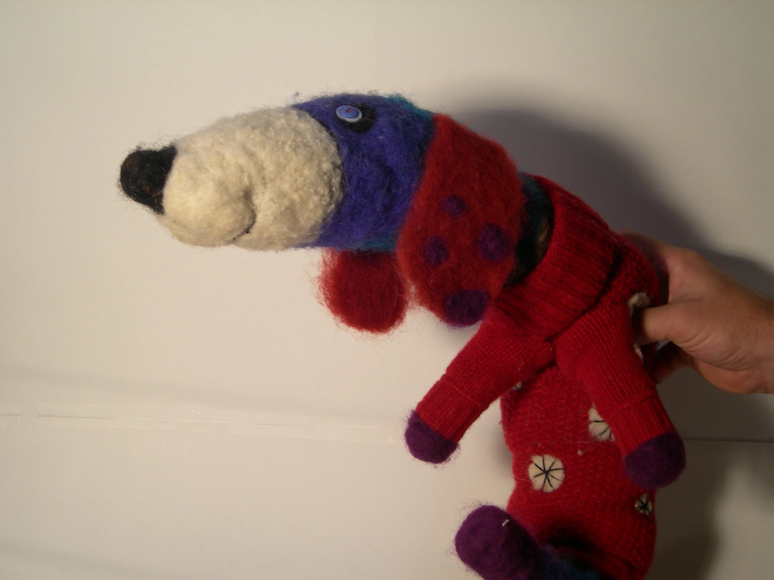 DOG IN SWEATER CLOSE UP