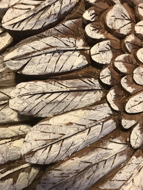 ANGEL WINGS CLOSE UP