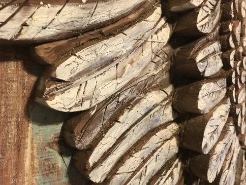 ANGEL WINGS CLOSE UP