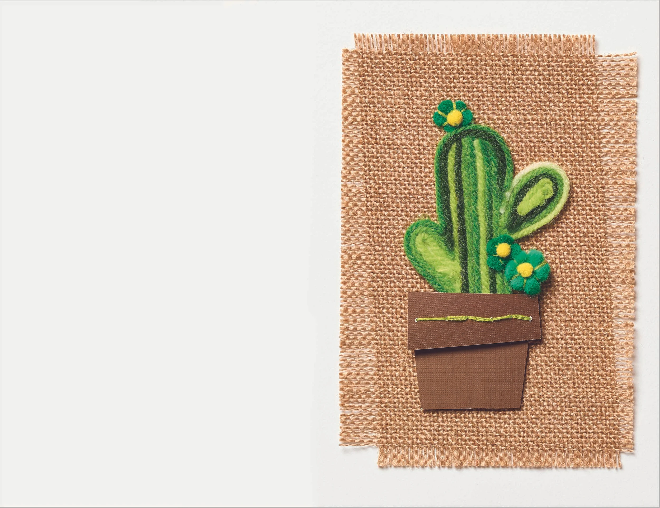 LISA_ATEN_YARN_CACTUS.jpg
