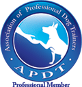 APDT trainer weehawken new jersey