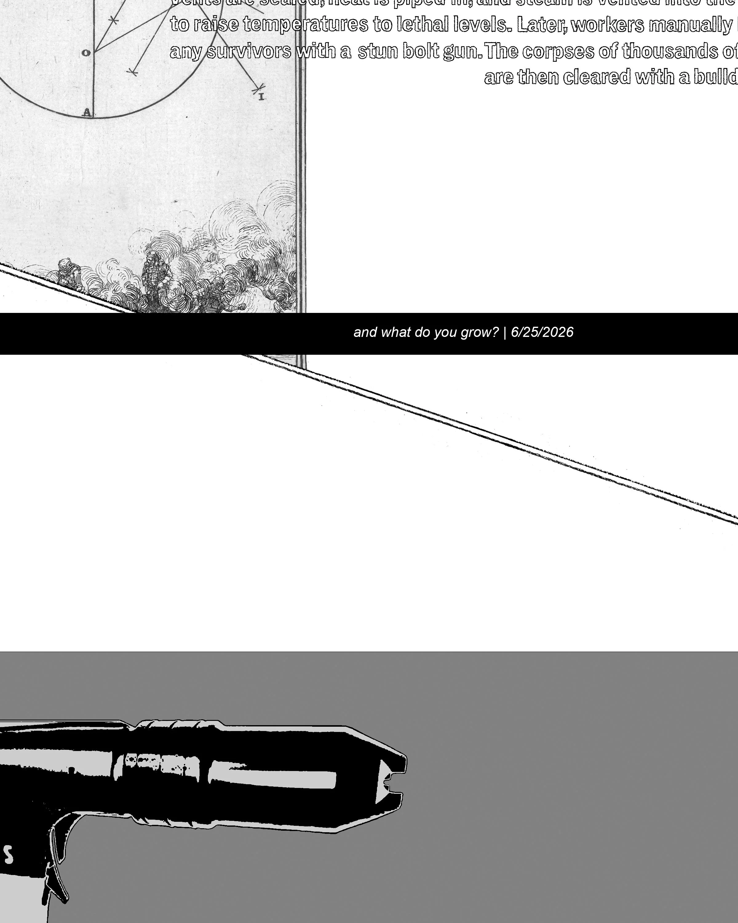AndWhatDoYouGrowChapbookCoverFront.jpg
