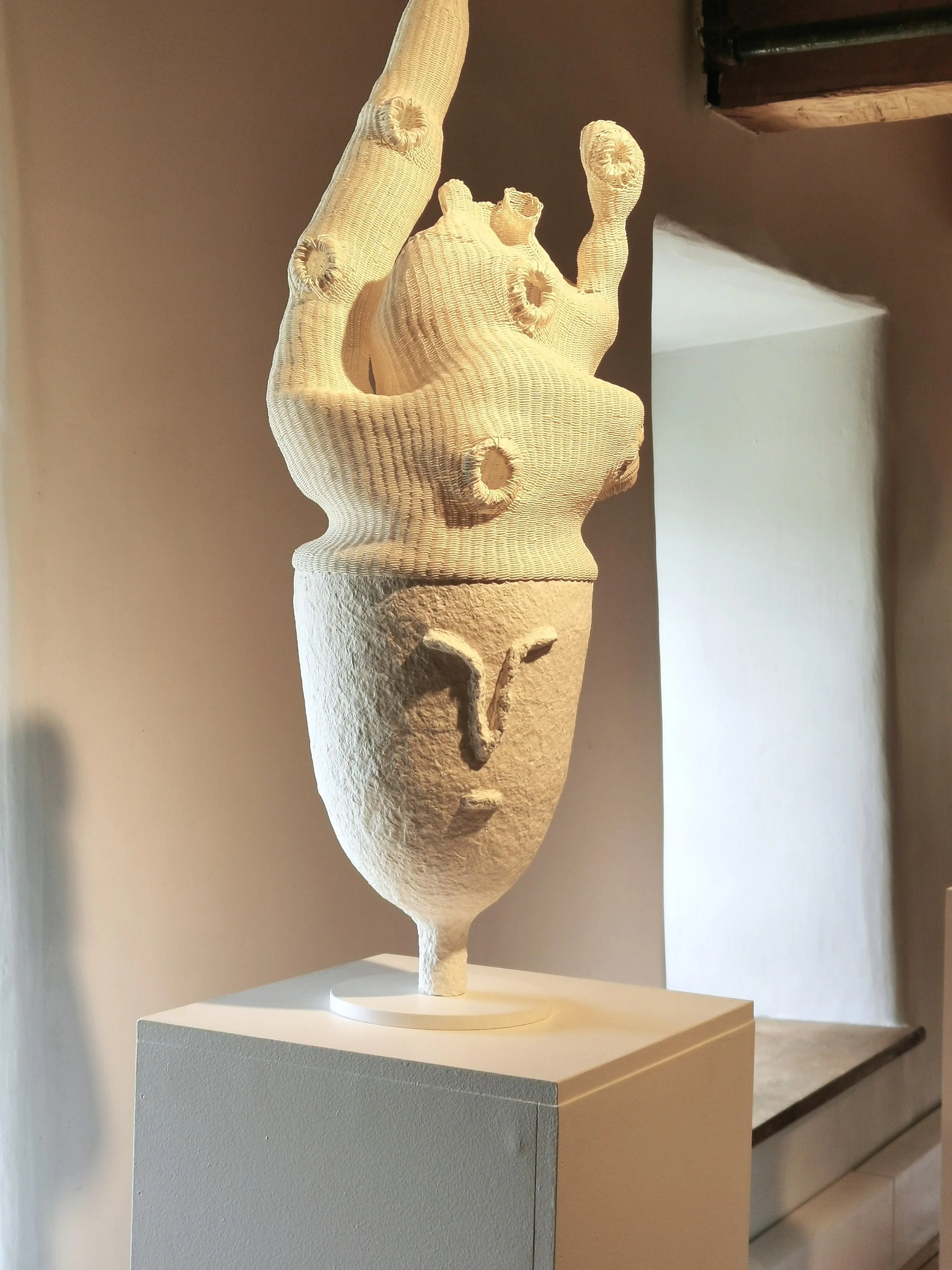 Tête1 autre vue2 - BILP 2023- Marie-José Gustave.jpg