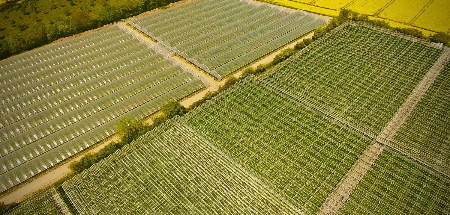 LOCATION-whole farm 2 no logo berries direct.jpg