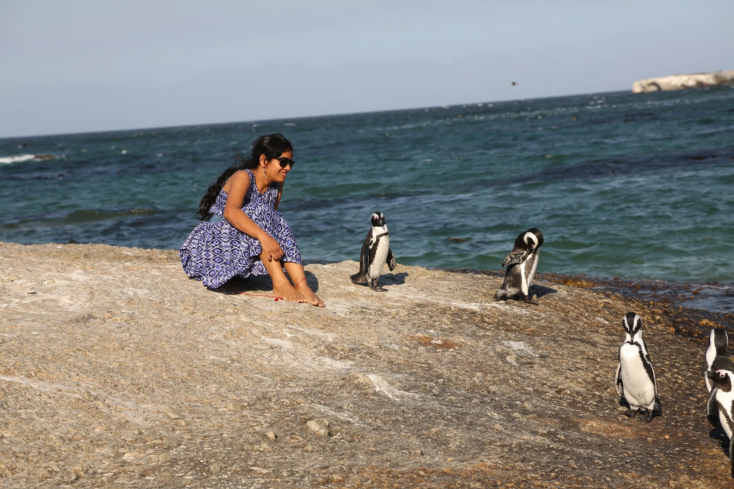 Penguin Story in SA