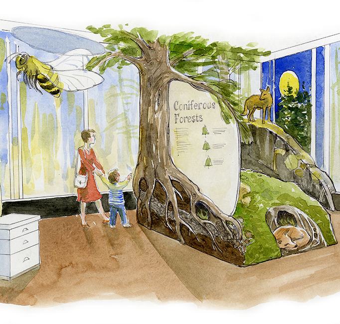 Netukulimk_forest_and_bees_034_web_into.jpg