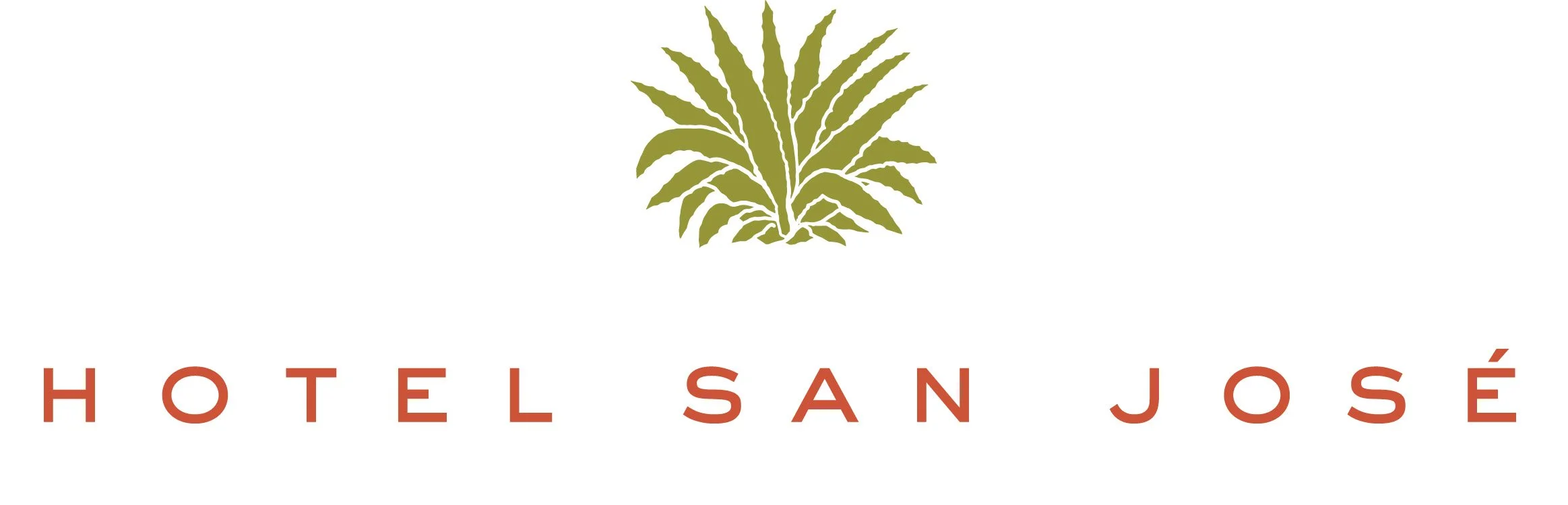 HSJ logo agave 2019.jpg