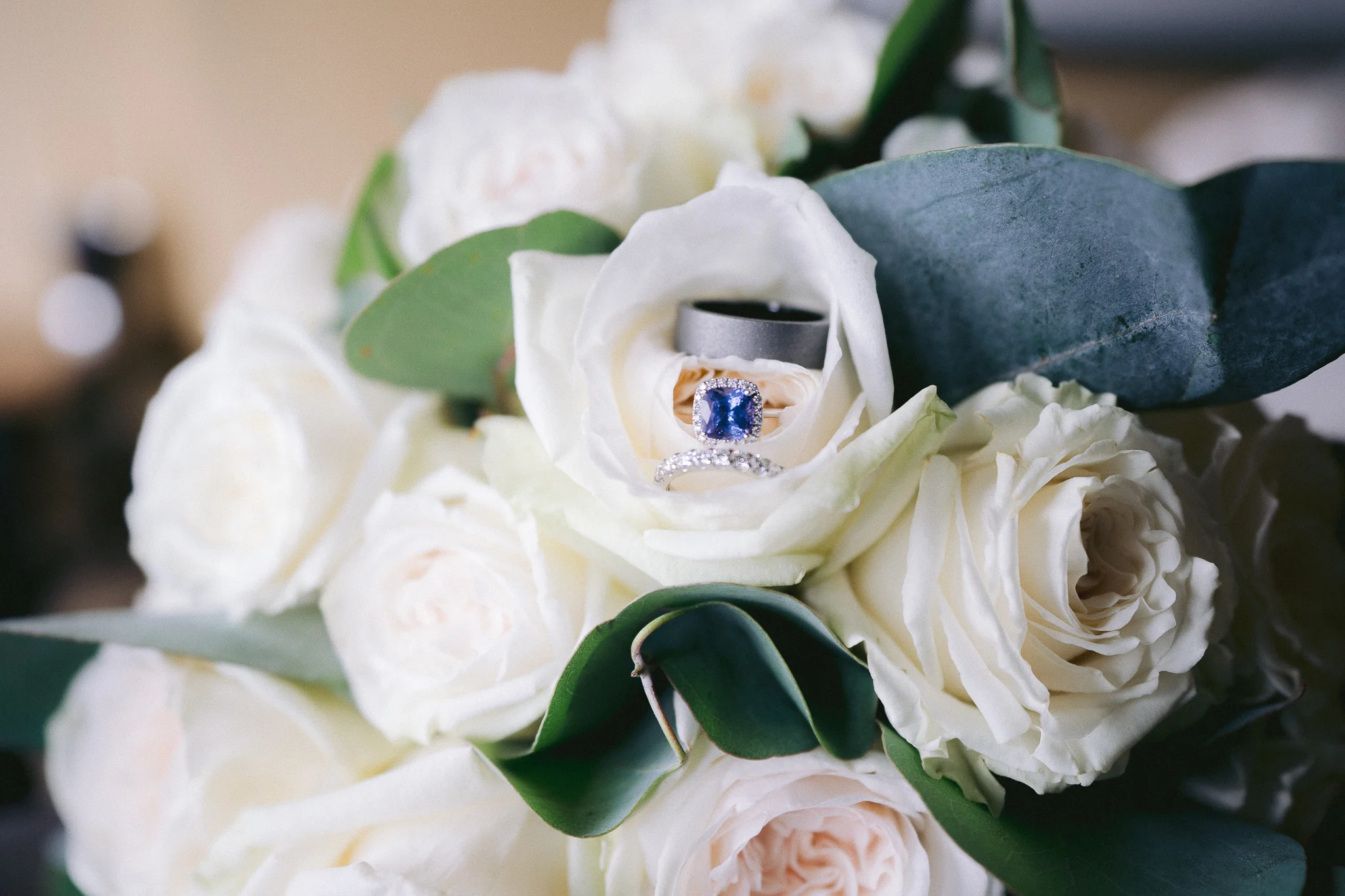 Stephanie and Danny - March 2019-14.jpg