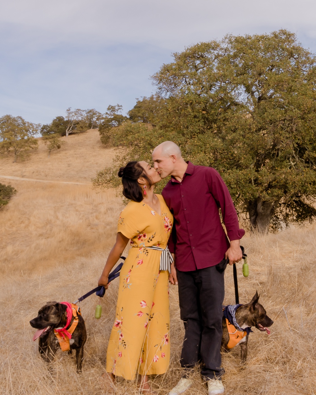 Walnut Creek Engagment Shoot with dogs.