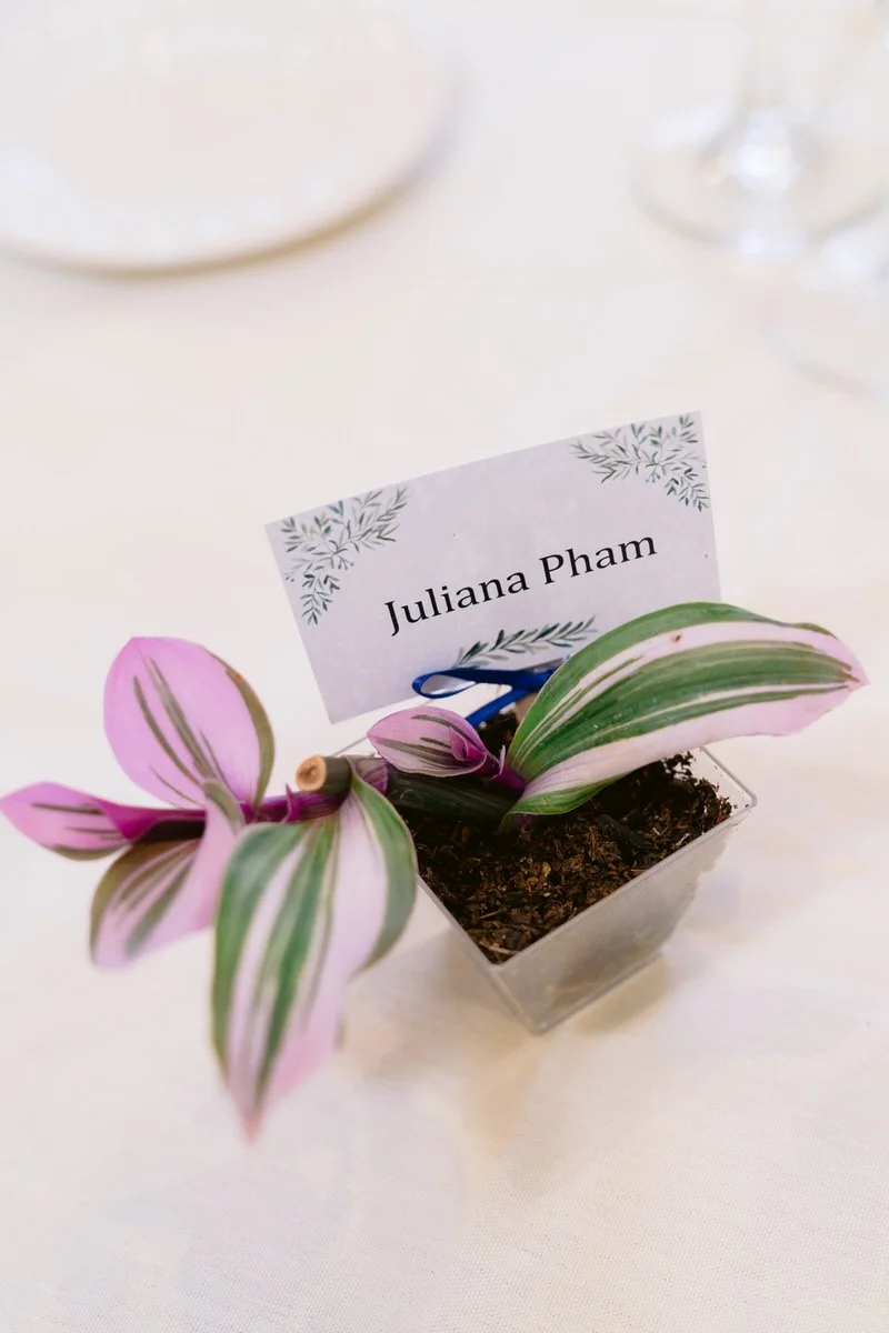 Succulent wedding favor with wedding guest name at San Ramon Waters wedding reception