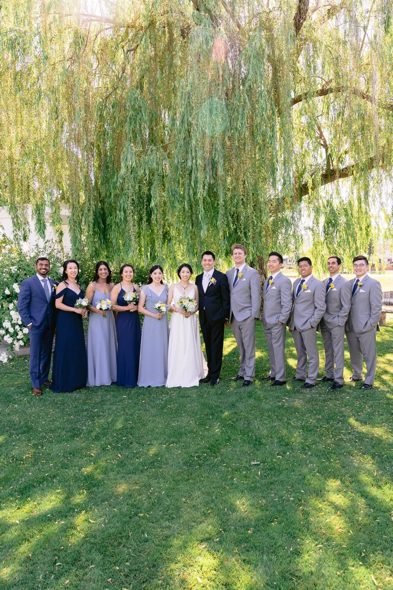 Wedding Party portrait with bride and groom in front of weeping willow tree at San Ramon Waters wedding