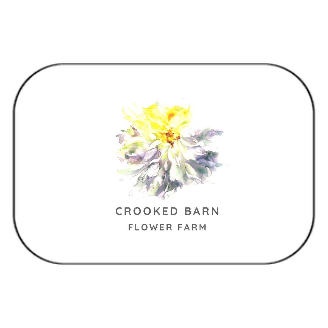 Copy of CBFF - Giftcard (rectangle).png