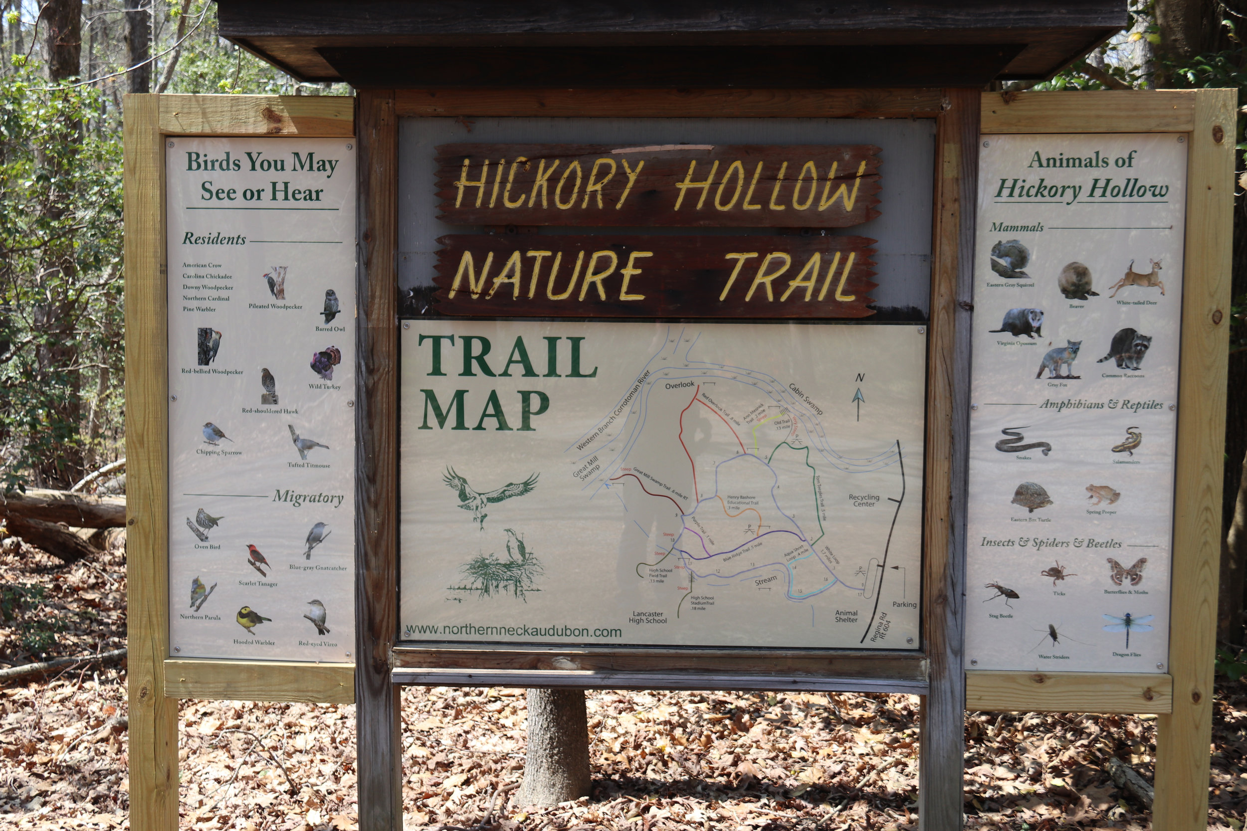 Hickory Hollow Trail Sign