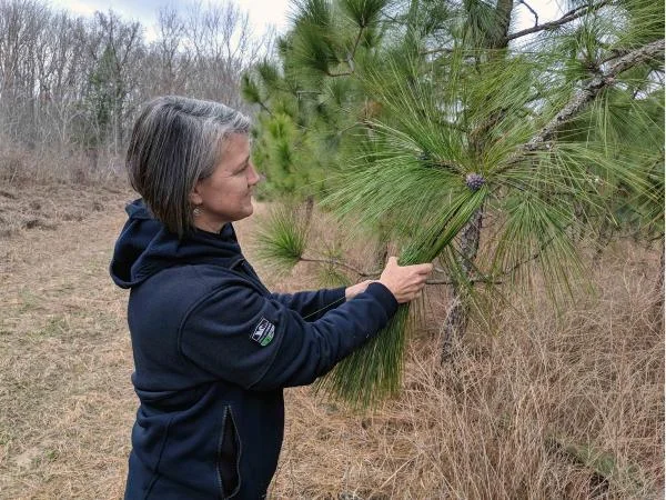 June Meeting of the Northern Neck Native Plant Society