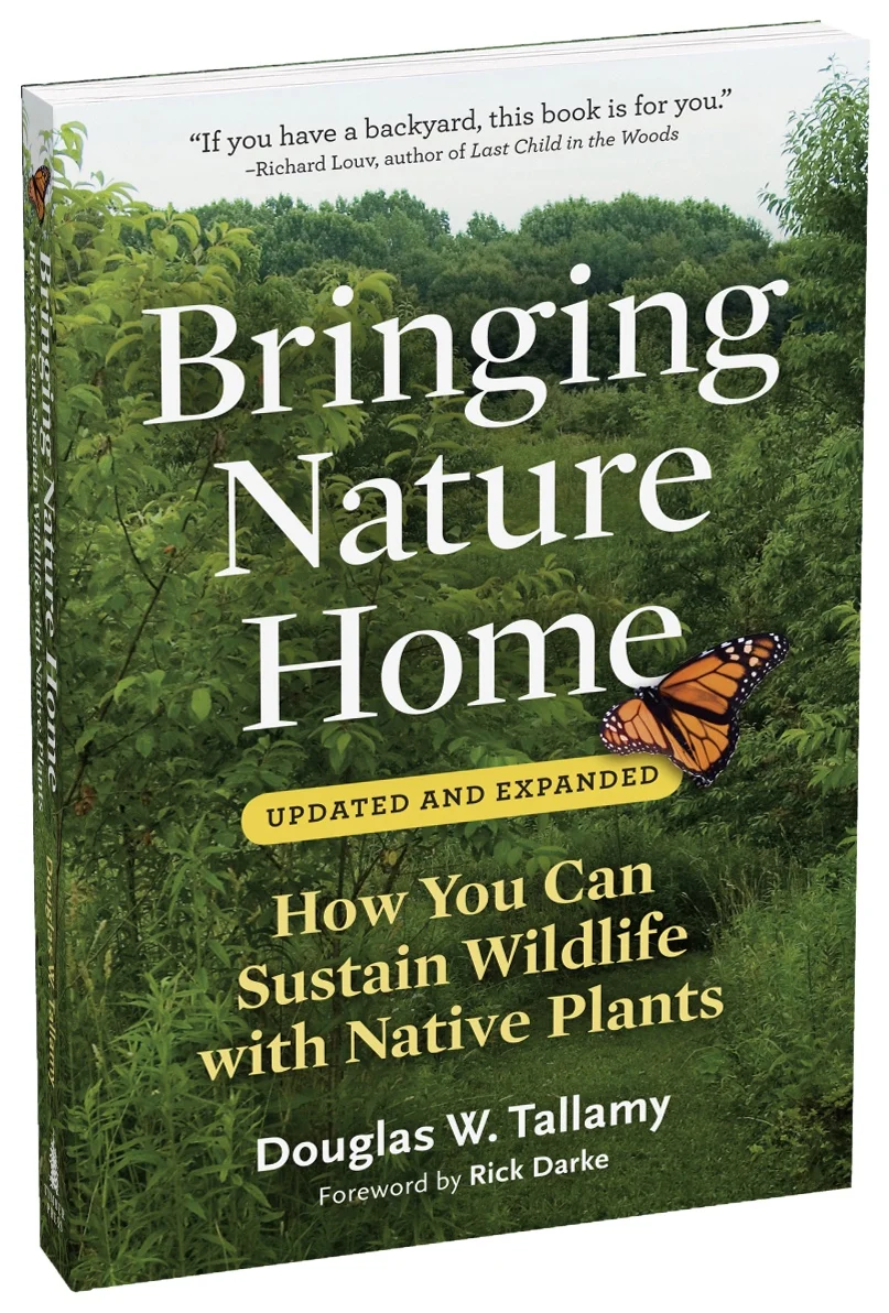 Designing Gardens for Beauty, Sanctuary and Wildlife