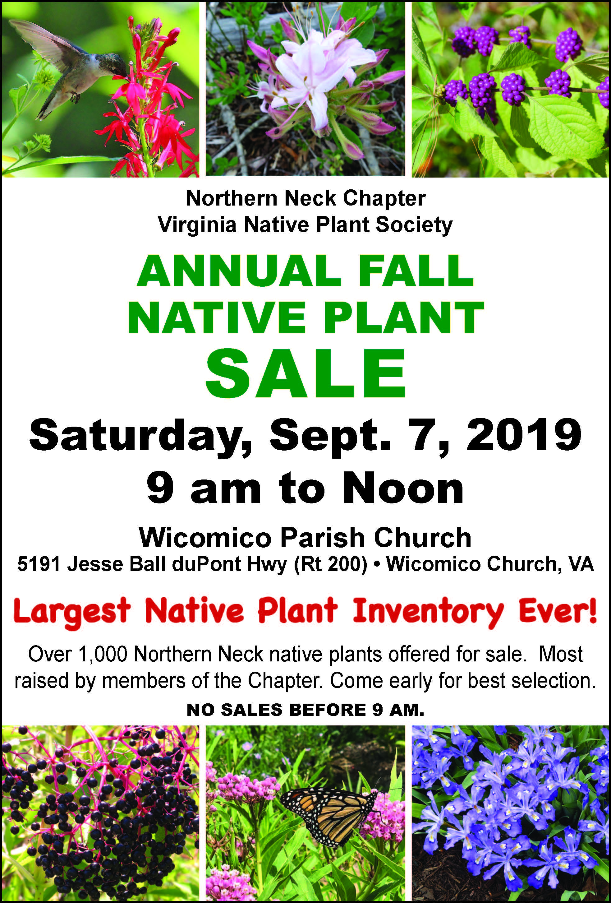 Northern Neck Chapter Virginia Native Plant Society Annual Fall Native Plant Sale