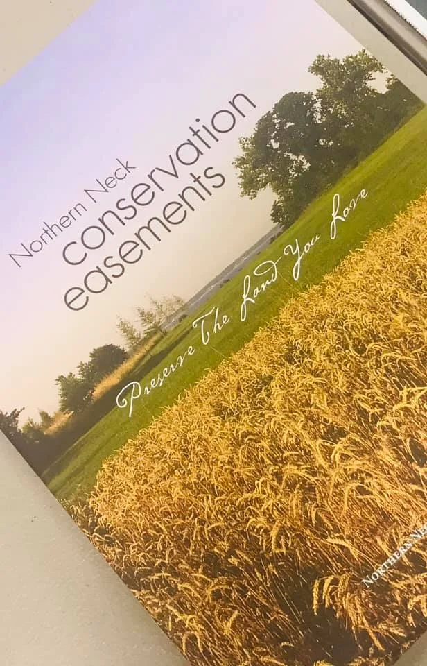 NNNPS at Boots and BBQ at Ditchley Plantation