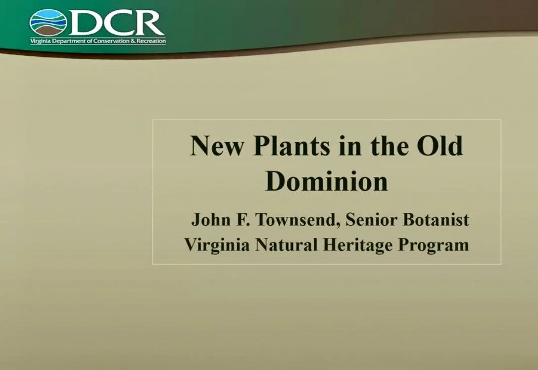 NN VNPS February Meeting Presentation by Johnny Townsend: New Plants in the Old Dominion