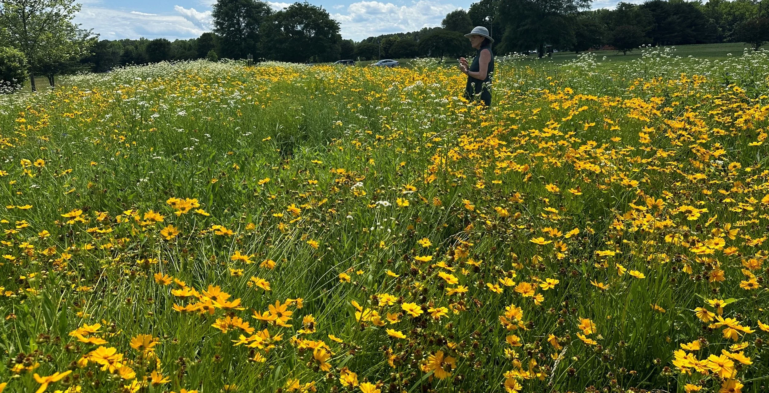 Meadow Walk near Dividing Creek in Kilmarnock – MEMBERS &amp; guests ONLY due to private properties
