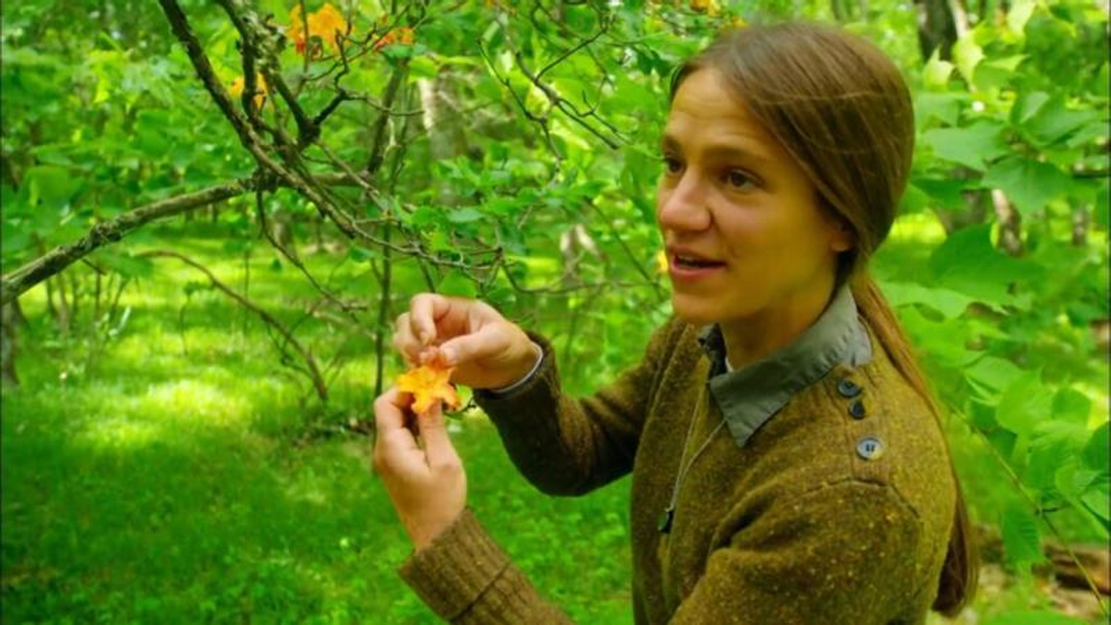 NNVNPS March Meeting