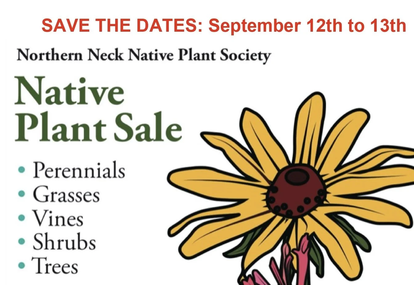 Northern Neck Native Plant Society Native Plant Sale