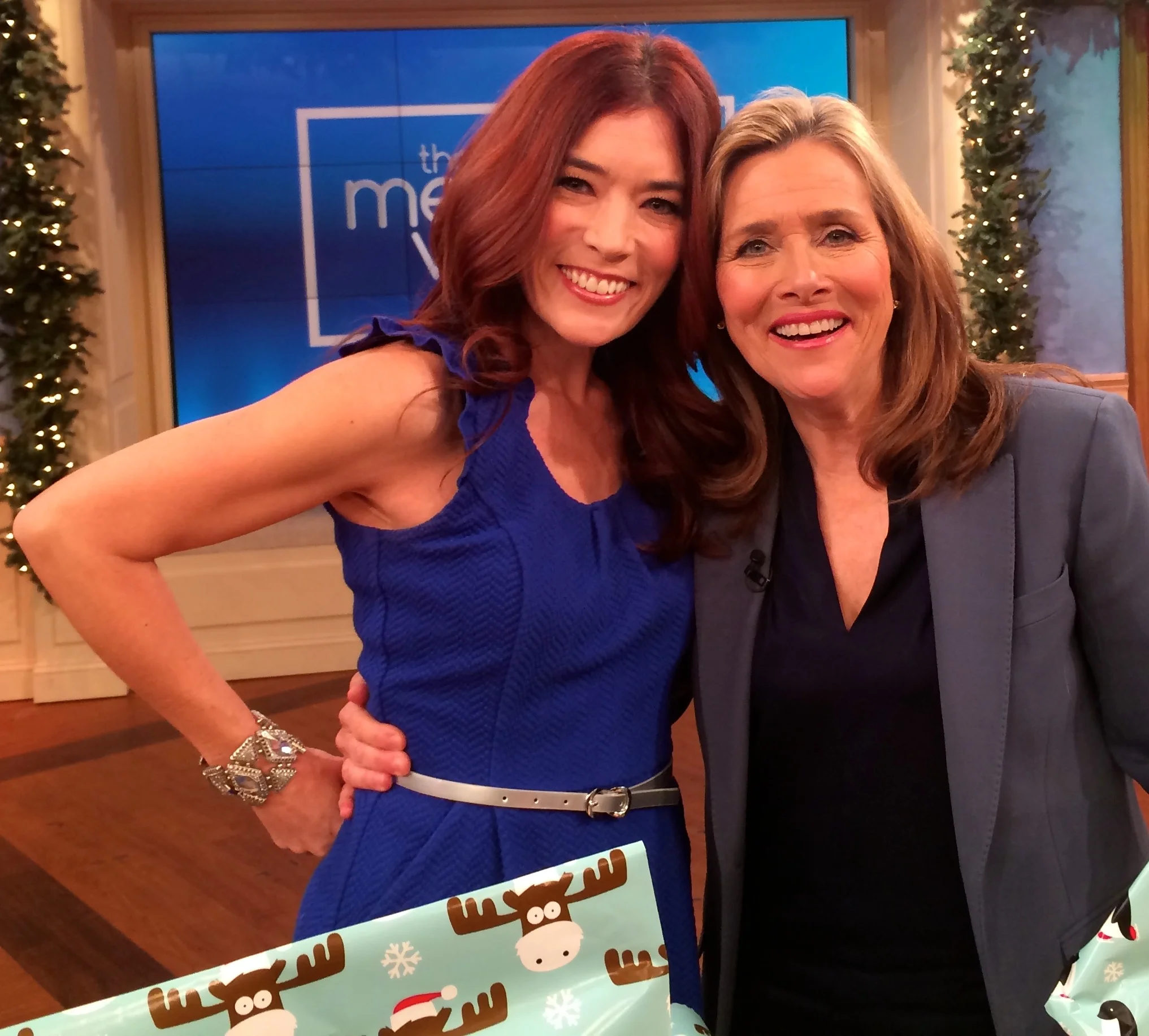 The Meredith Vieira Show