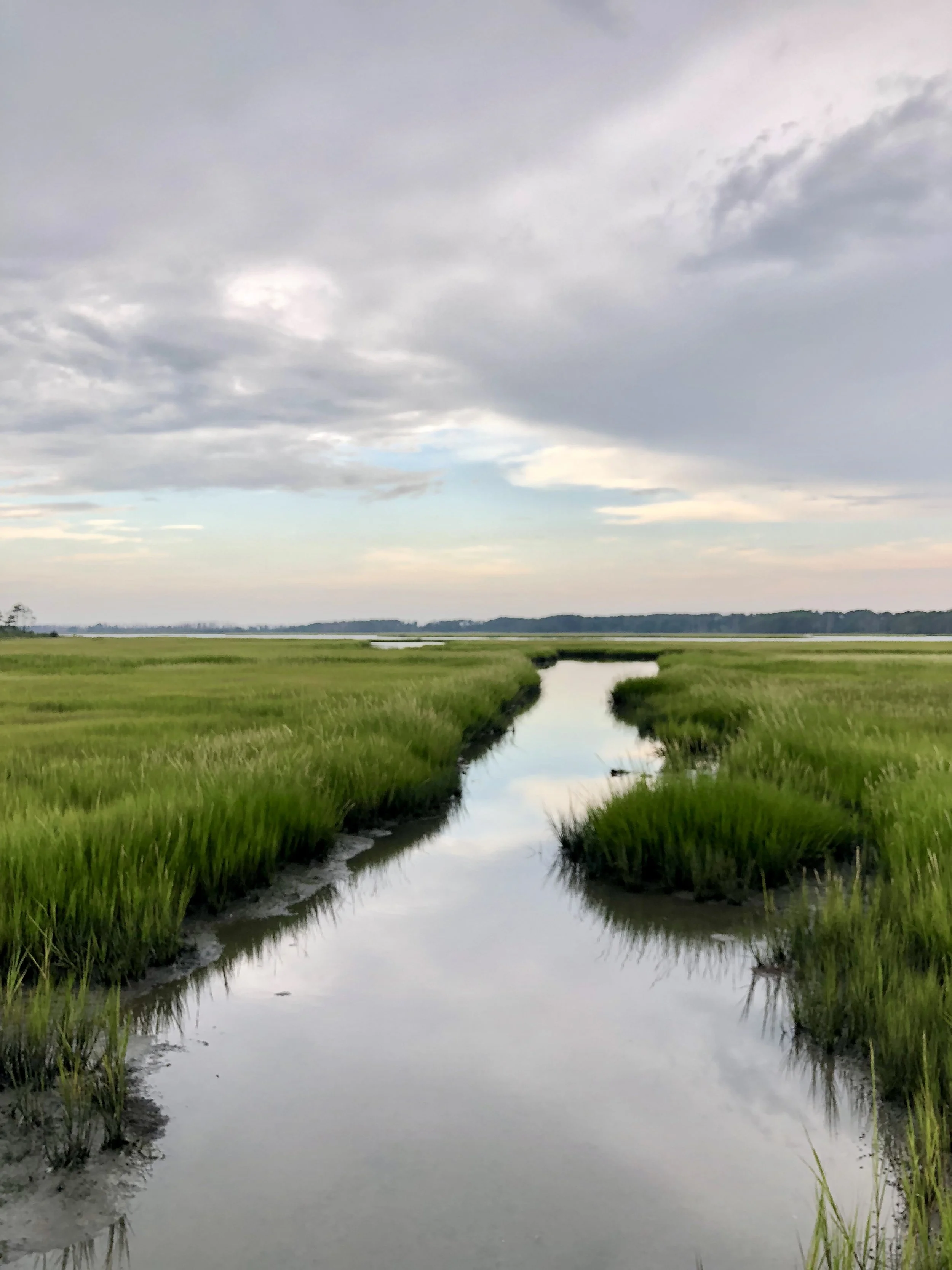 Summer ‘Til The Last Drop