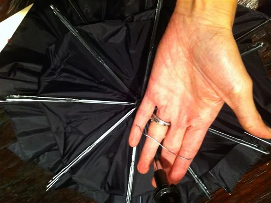 Bat Costume Amy E. Goodman photo 3.jpg