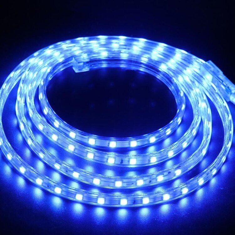 LED Strip Light — BMS LED Lights