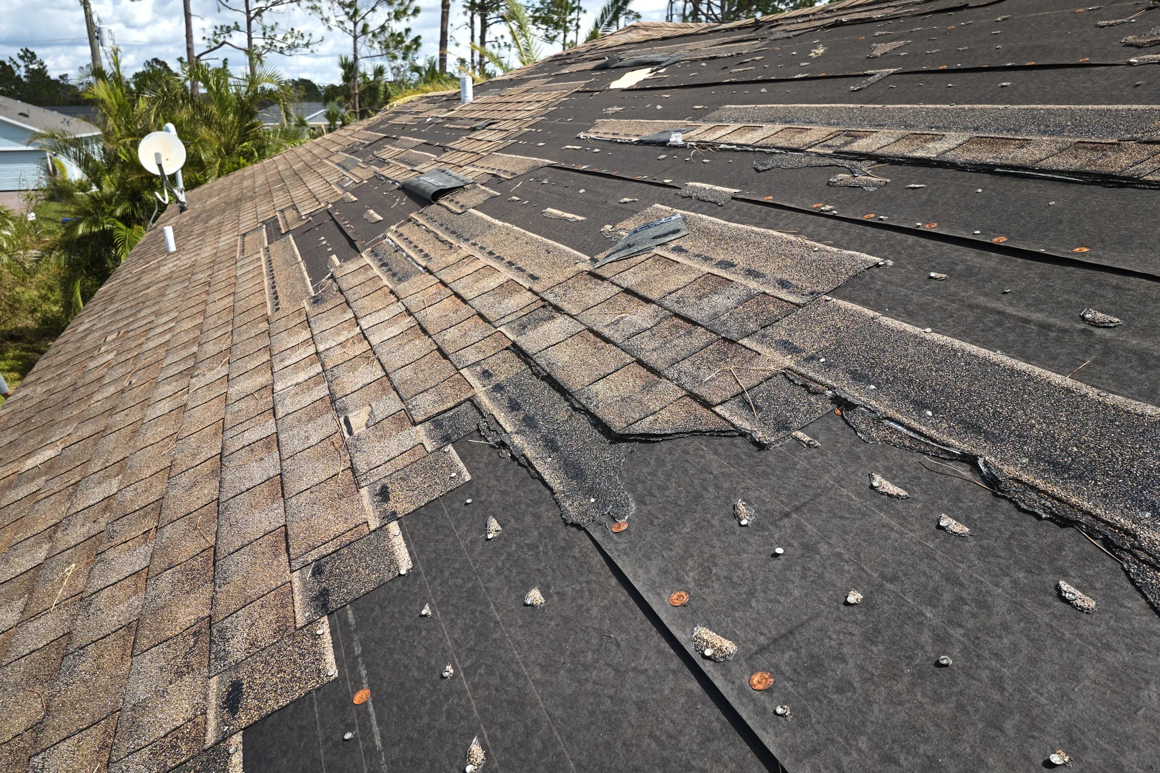 wind-damaged-house-roof-with-missing-asphalt-shing-2026-01-07-06-07-17-utc.webp