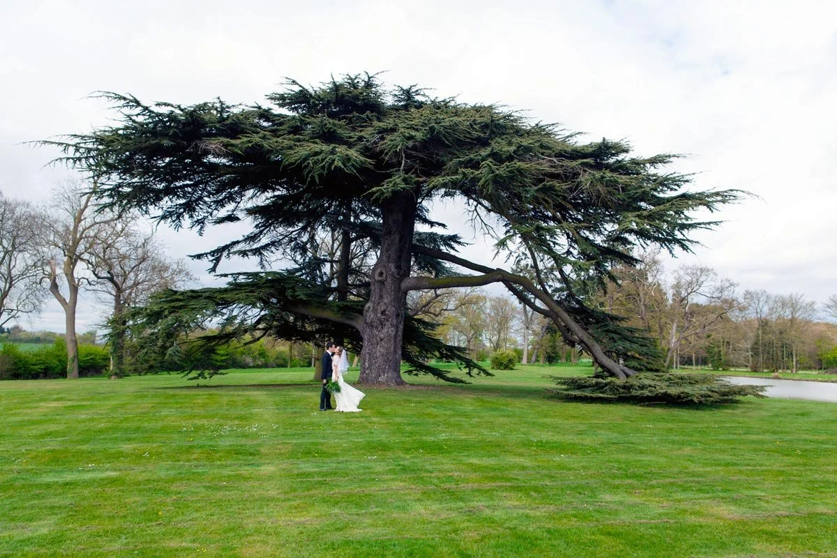 A couple in wedding attire standing under a large tree on a grassy lawn.